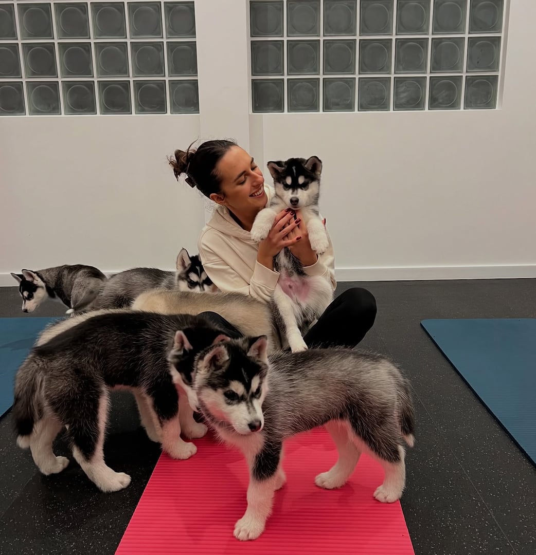 Joga ir gyvūnai – harmonijos ir džiaugsmo sąjunga