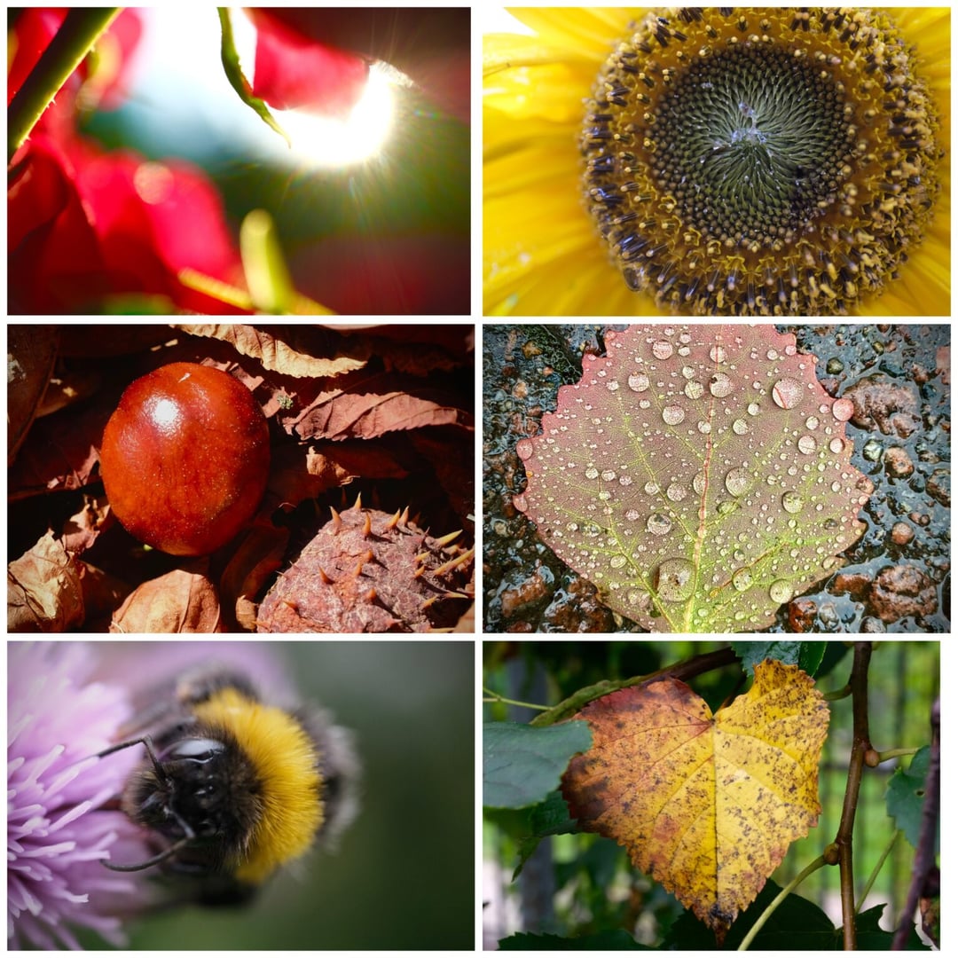 BIBLIODRAMA „Gailestingumo spalvos“