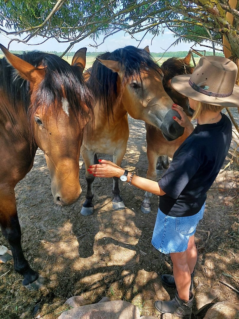 Terapinė diena su žirgais