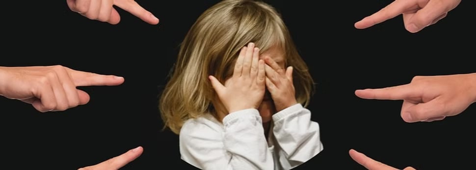  SUSITIKIMAS SU VIDINIU KRITIKU