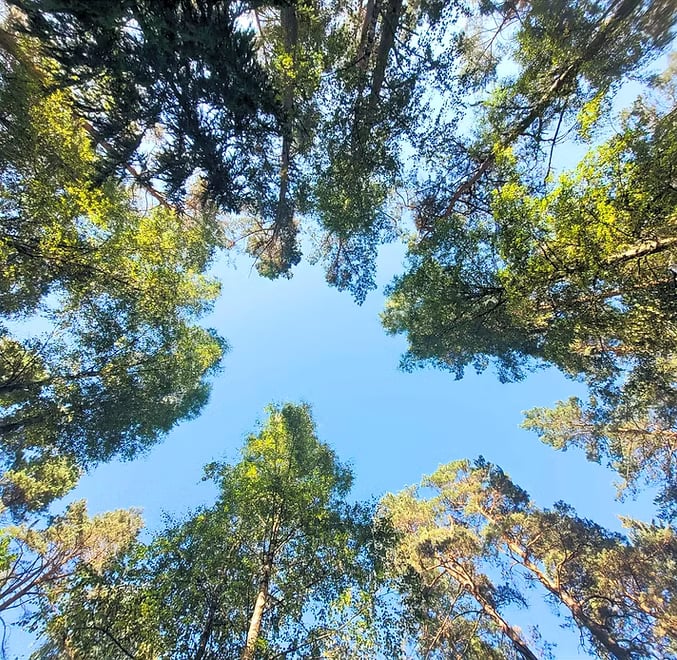  KAIP MYLĖTI VIENAS KITĄ, BET NEPRARASTI TIKROJO AŠ