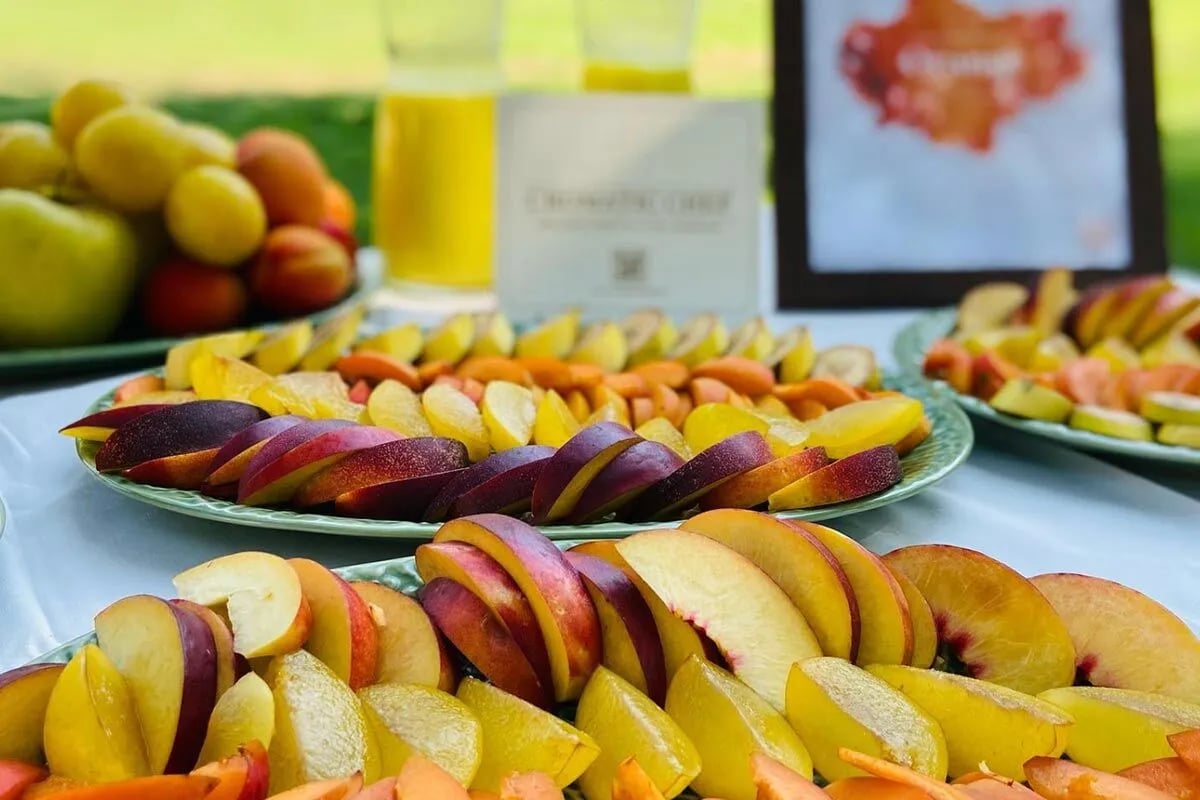 4 dienų holistinės ayahuasca retritas su Karaí Okenda Barselonoje