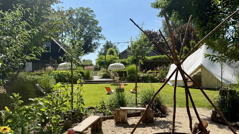 3 DIENŲ PSILOCIBINO RETRITAS GAMTOJE (NYDERLANDAI)