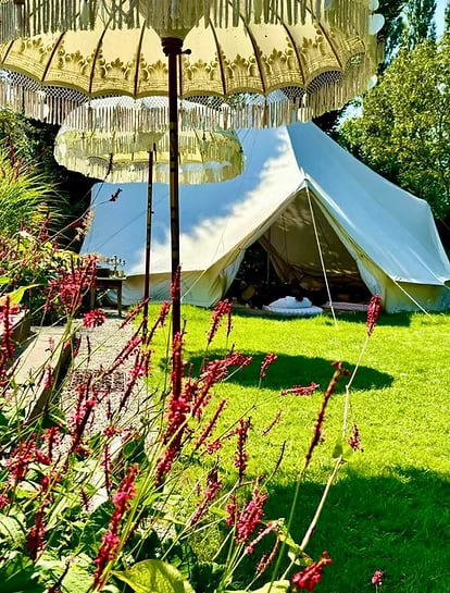 3 DIENŲ PSILOCIBINO RETRITAS GAMTOJE (NYDERLANDAI)