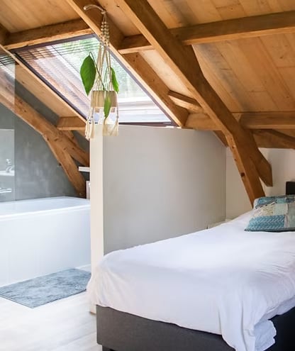 3 DIENŲ PSILOCIBINO RETRITAS GAMTOJE (NYDERLANDAI)