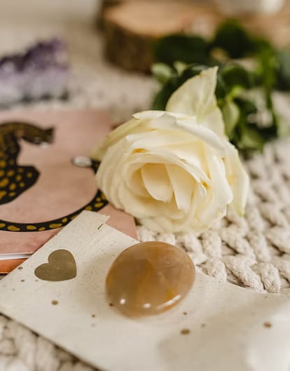 3 DIENŲ MOTERŲ PSILOCIBINO RETRITAS NYDERLANDUOSE