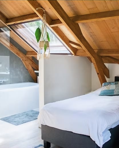 3 DIENŲ MOTERŲ PSILOCIBINO RETRITAS NYDERLANDUOSE