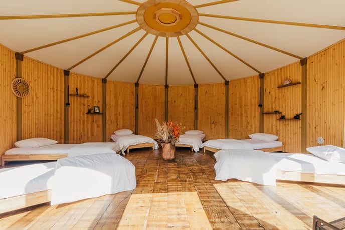 3 DIENŲ PAŽENGUSIŲJŲ PSILOCIBINO RETRITAS NYDERLANDUOSE