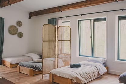 3 DIENŲ PAŽENGUSIŲJŲ PSILOCIBINO RETRITAS NYDERLANDUOSE