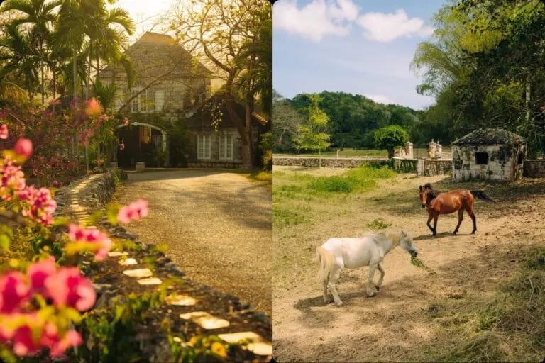 Atkurkite ryšį su tuo, kas svarbu, vos per vieną savaitgalį