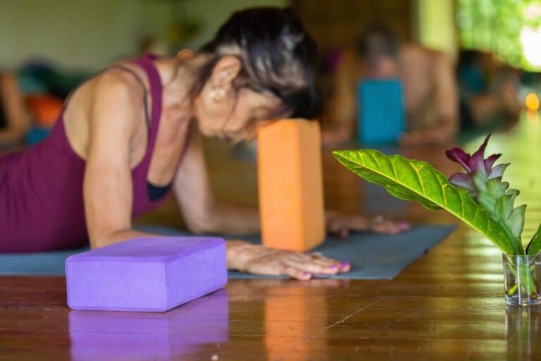 100H Atkuriamosios jogos ir meditacijos mokytojų mokymai