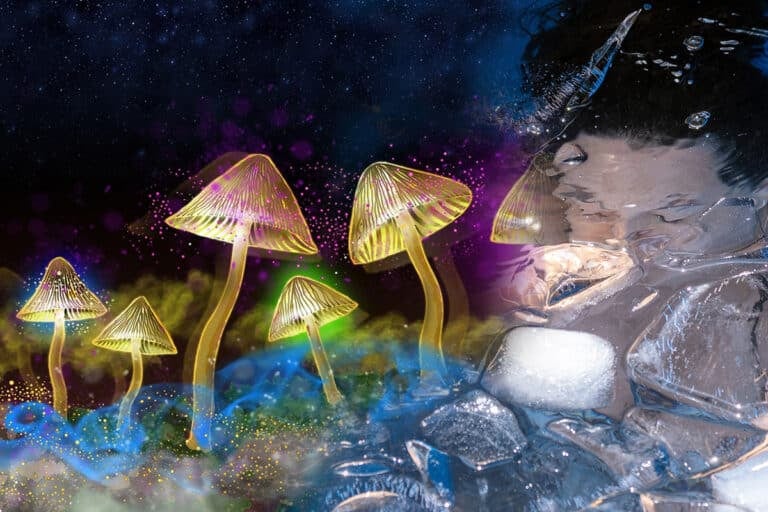 Mycelia Pathways ceremonija