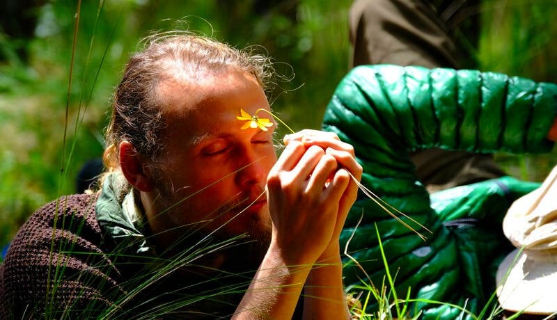 Ayahuasca ir San Pedro - Gaia Sagrada