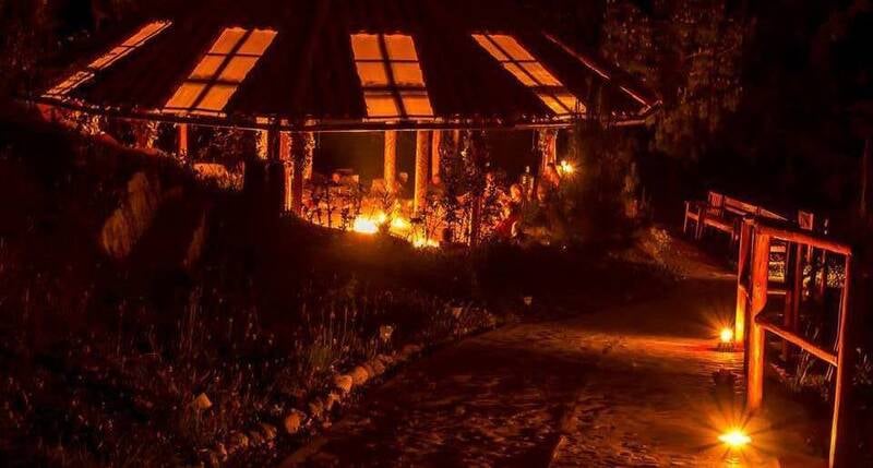 Ayahuasca ir San Pedro - Gaia Sagrada