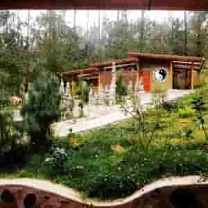Ayahuasca ir San Pedro - Gaia Sagrada