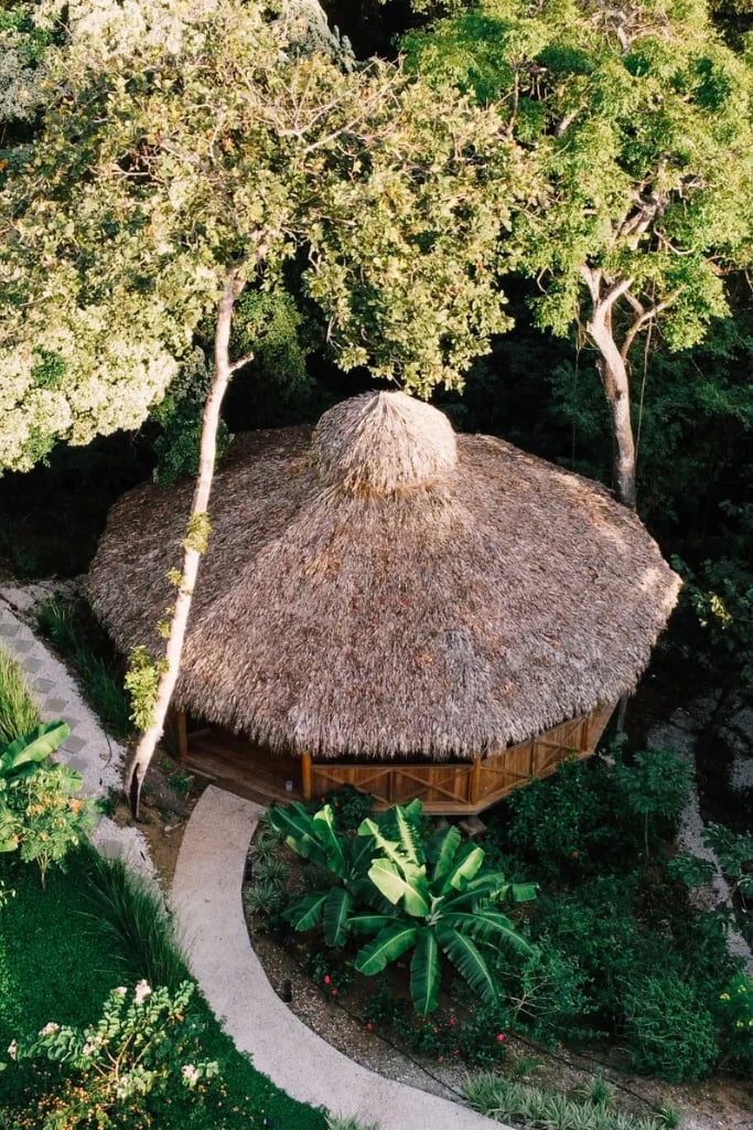 Huachuma (San Pedro) panardinimai