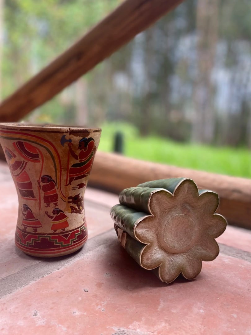 Huachuma (San Pedro) panardinimai