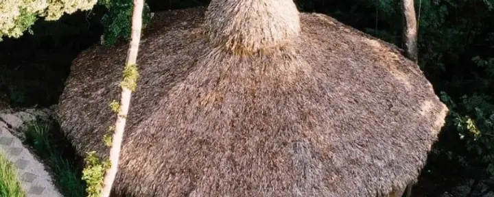 Huachuma (San Pedro) panardinimai