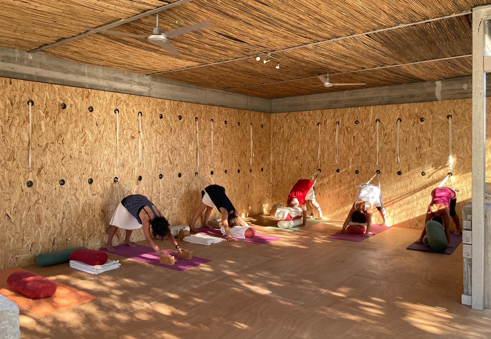 Iyengar jogos atostogos Kretoje, Graikijoje