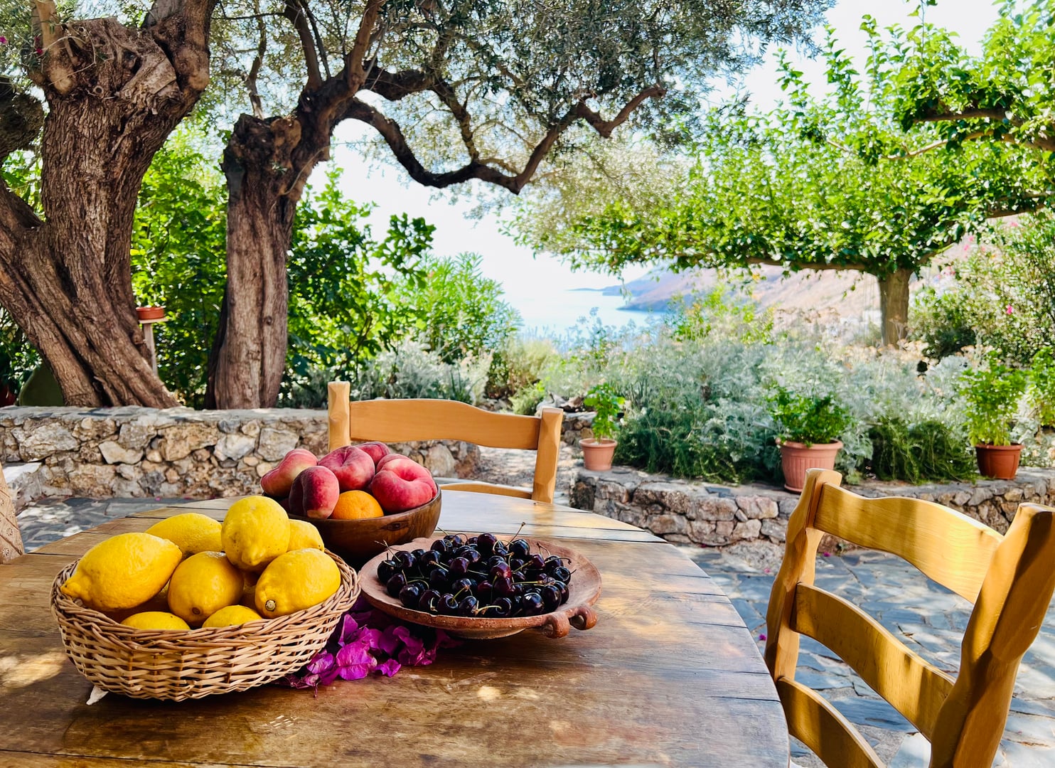 Iyengar jogos atostogos Kretoje, Graikijoje