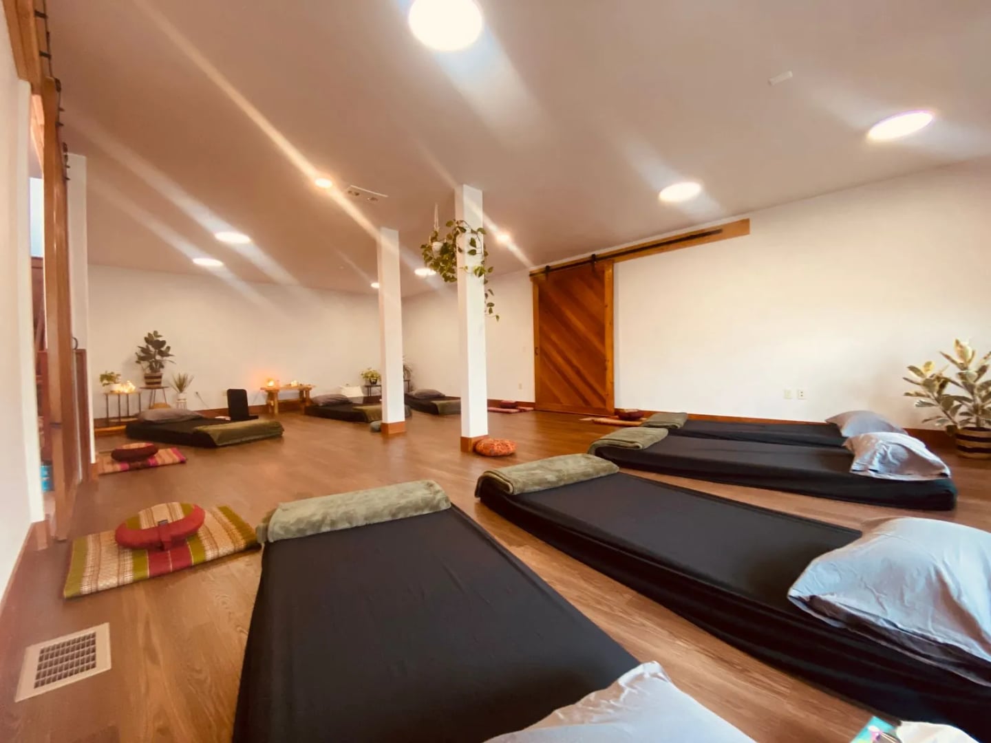 Psilocibino retritas sveikatos priežiūros specialistams