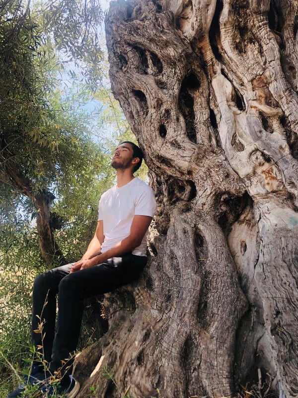 Aya ir grybai - 5 dienų ayahuasca ir grybų retritas