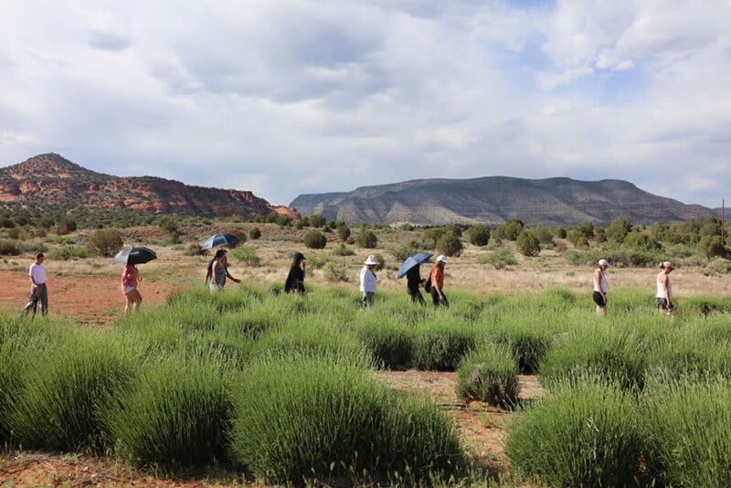 Sedonos sūkurio gydymo retritas