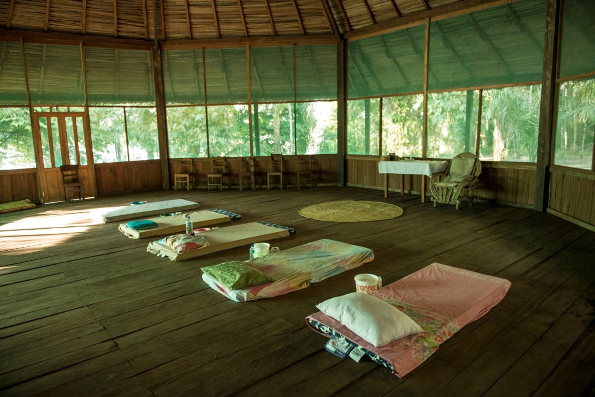 10 dienų augalų medicinos retritas