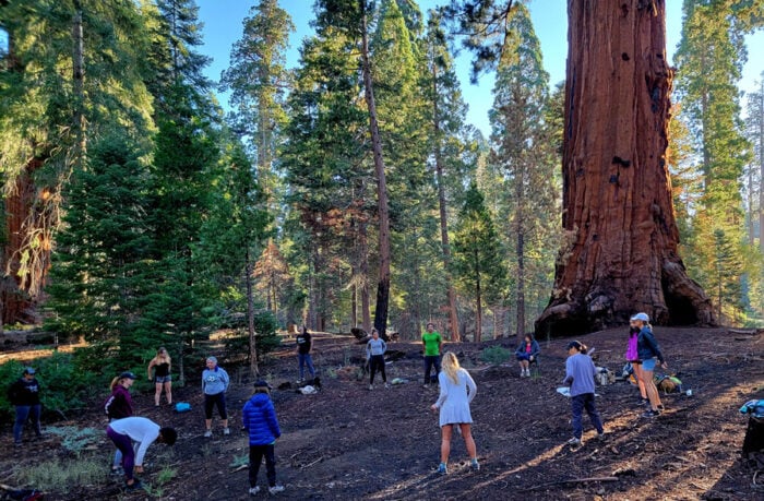 Ramybė, atsparumas ir laukinė gamta: sustabdyti streso ciklą ir valdyti savo psichikos sveikatą