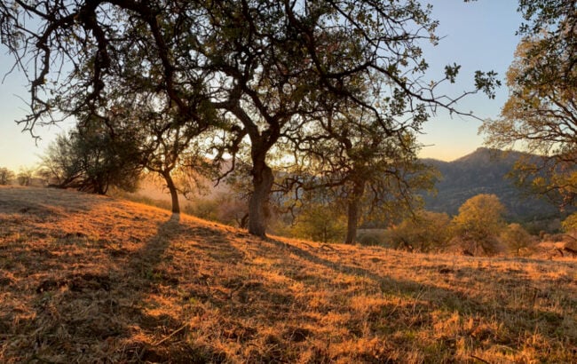 4 dienų Naujojo Mėnulio stebėjimas / Tylioji joga, pranajamas ir meditacija