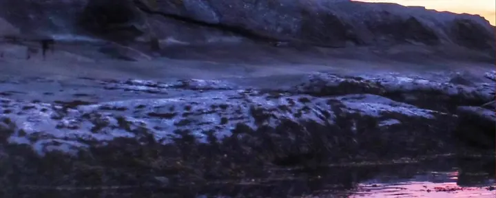 Poros gyvos: gyvenant ir mylint