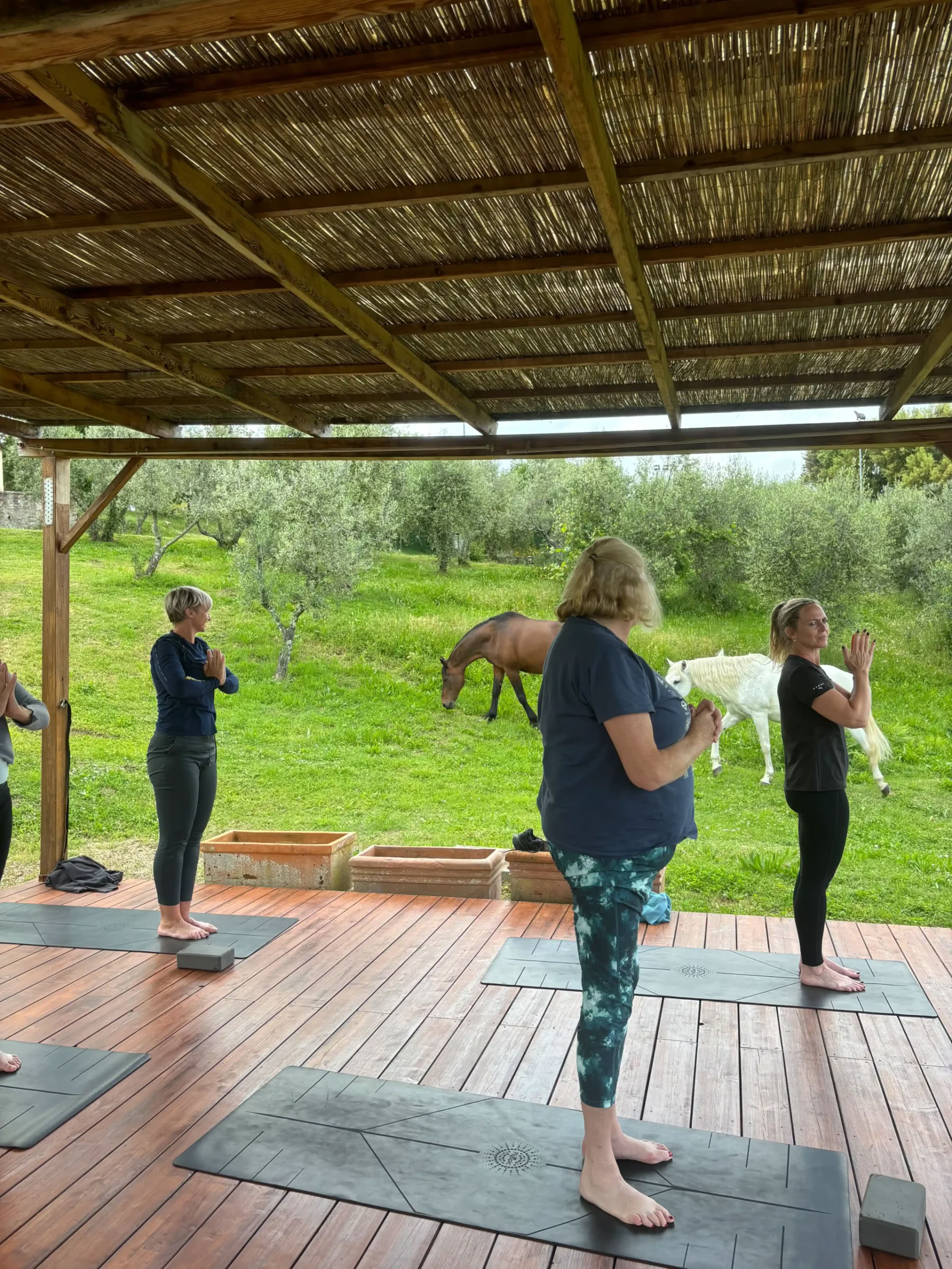 Joga ir fitnesas – (4 dienos/3 naktys)