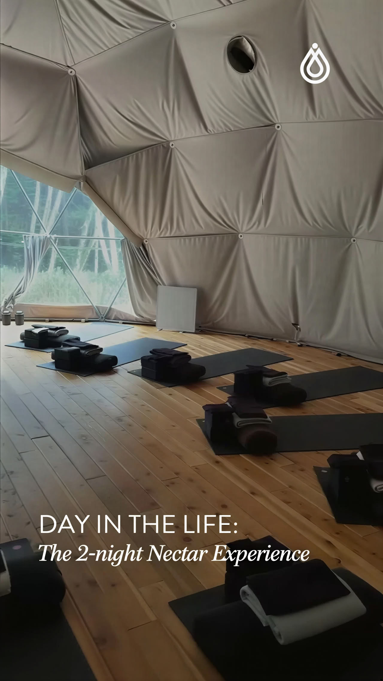 Root + Return, atkuriamoji praktika ryšiui atkurti ir susigrąžinti | Nectar Yoga