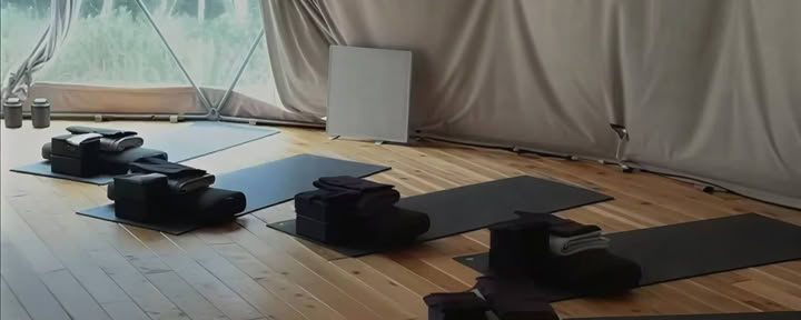 Ashtanga jogos dienos intensyvus seminaras: Vinyasos gydomoji magija