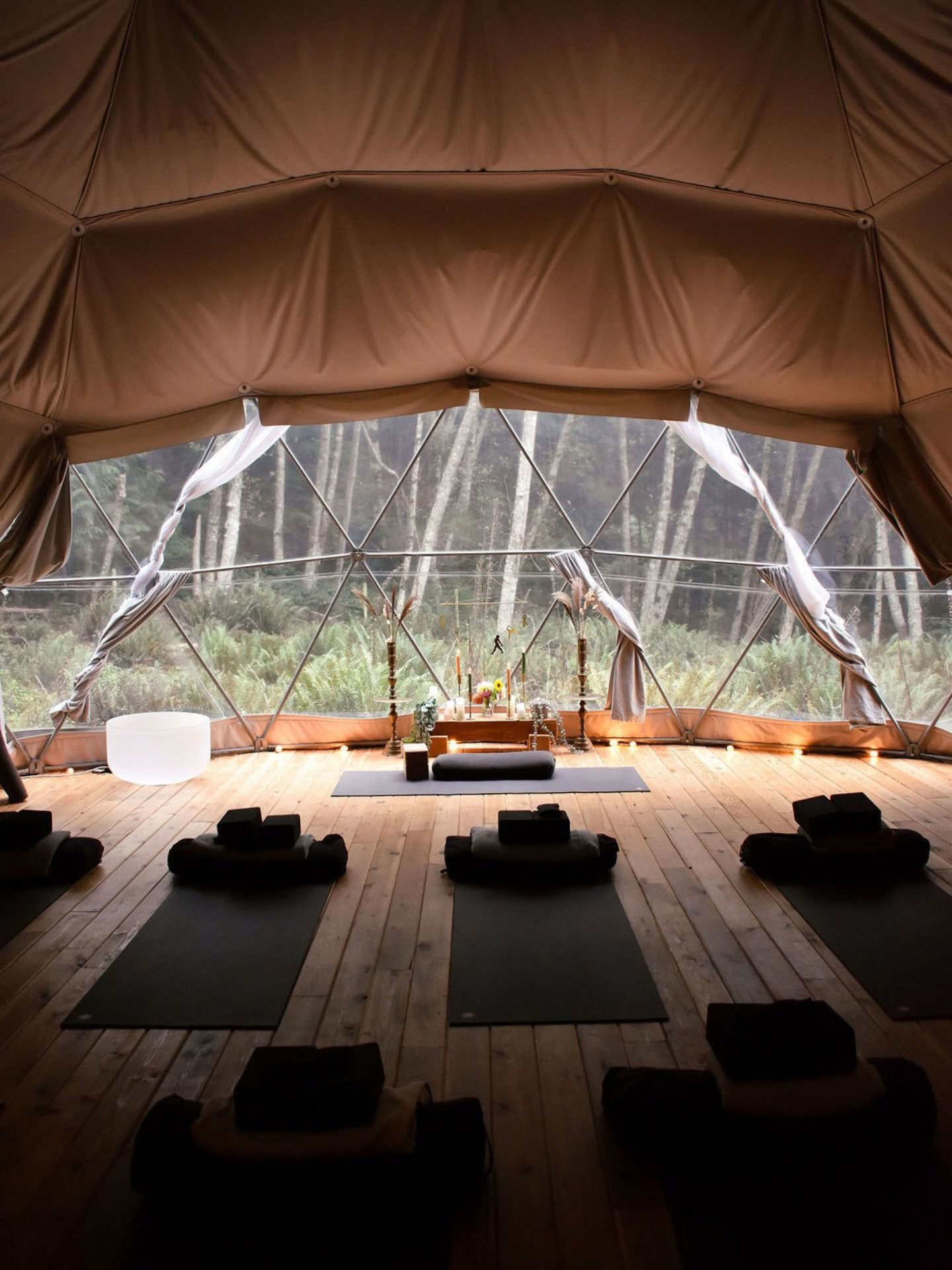 Kvėpavimo praktikų ir pranajamos mokytojų mokymai su Carolyn Anne Budgell + Nectar Yoga — Nectar Yoga