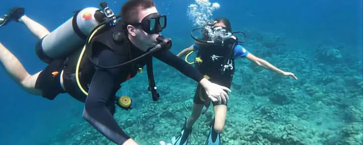 Menjangan salos nardymas