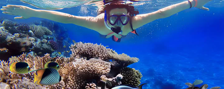 Reef Adventures: Lovina snorkeliavimas