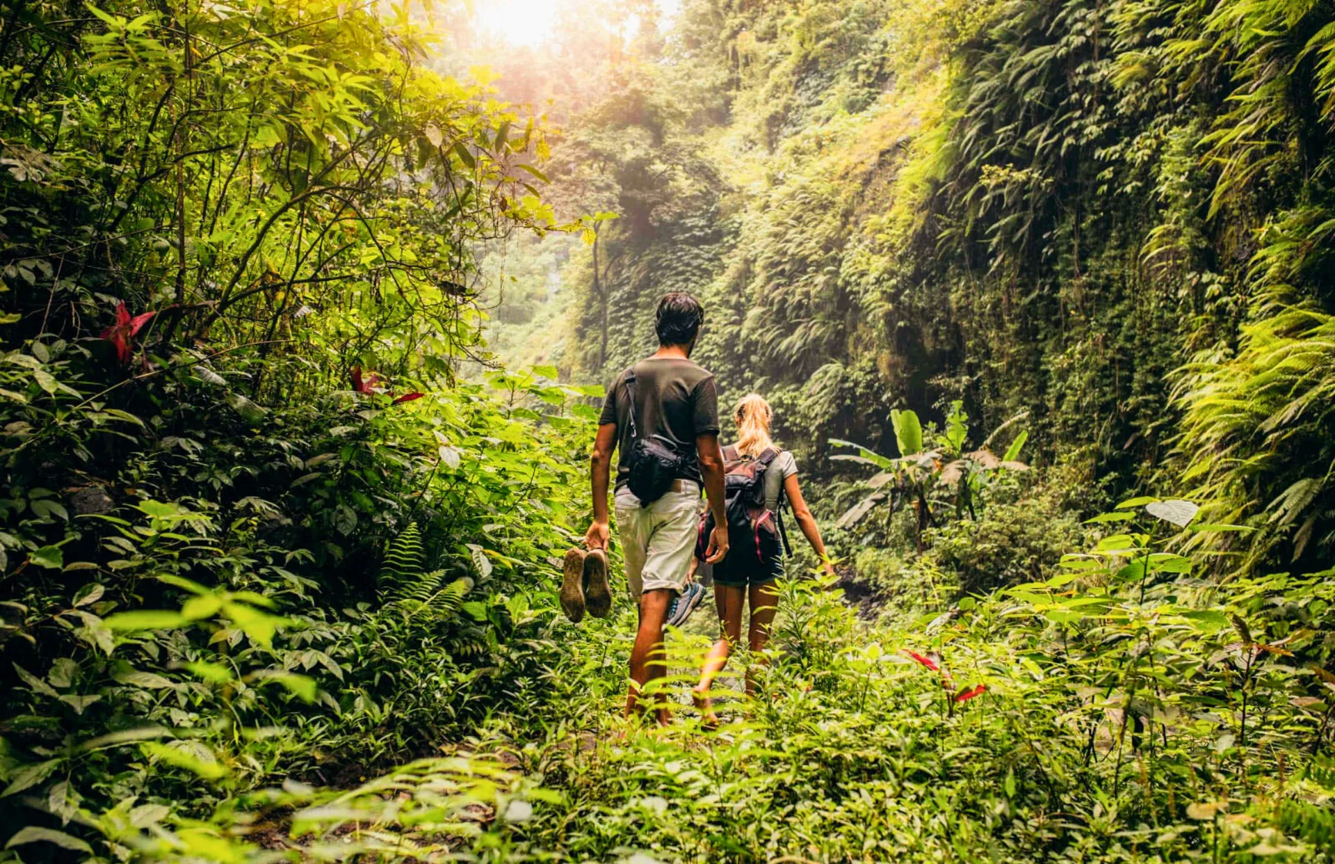 ZEN TREKKING IR KRIKŠTOLO KRIKŠLŲ ATRADIMAS