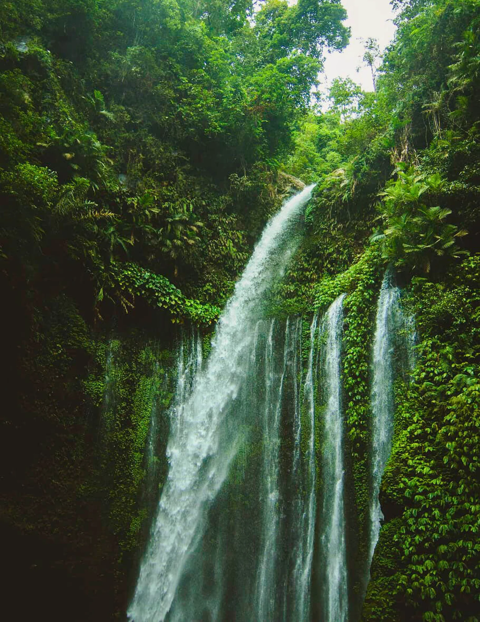 ZEN TREKKING IR KRIKŠTOLO KRIKŠLŲ ATRADIMAS