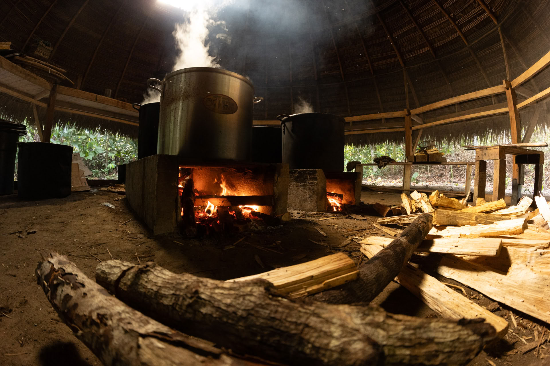 Atviras ayahuaskos retritas „Psychonauta Tribe“