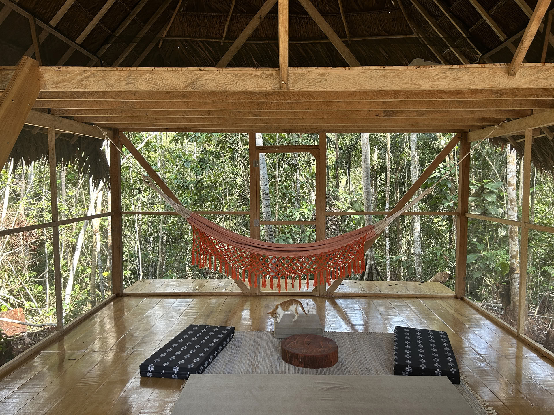 Atviras ayahuaskos retritas „Psychonauta Tribe“