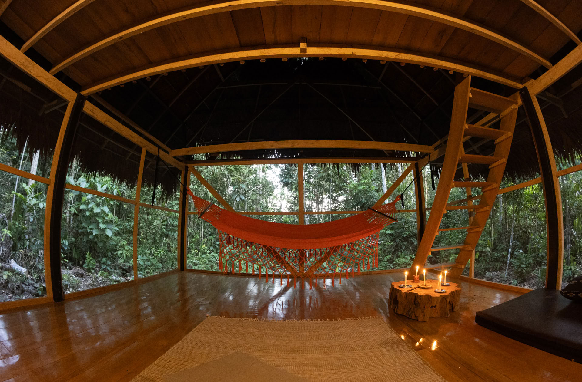 Atviras Ayahuaskos retritas