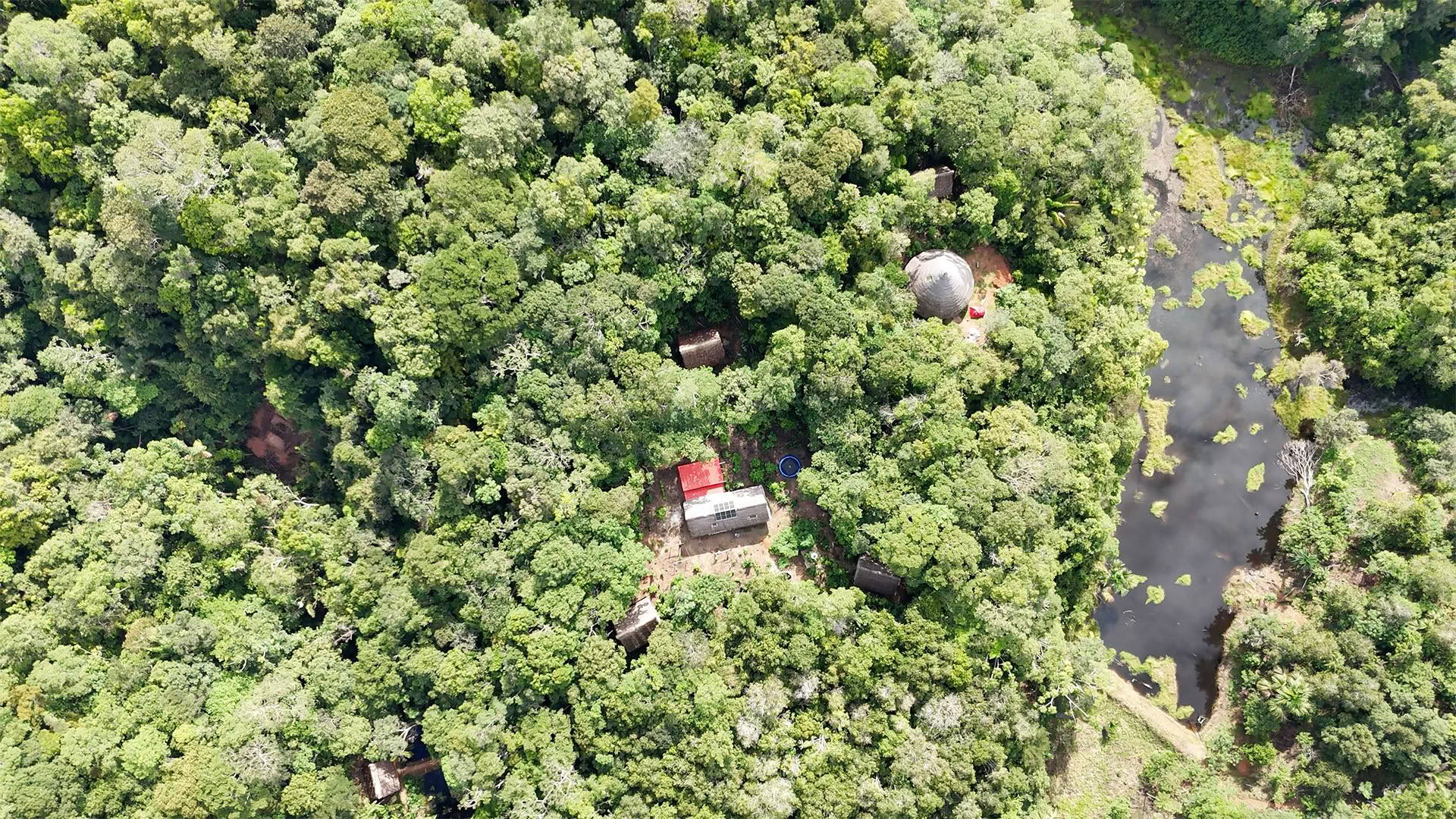 Atviras Ayahuaskos retritas