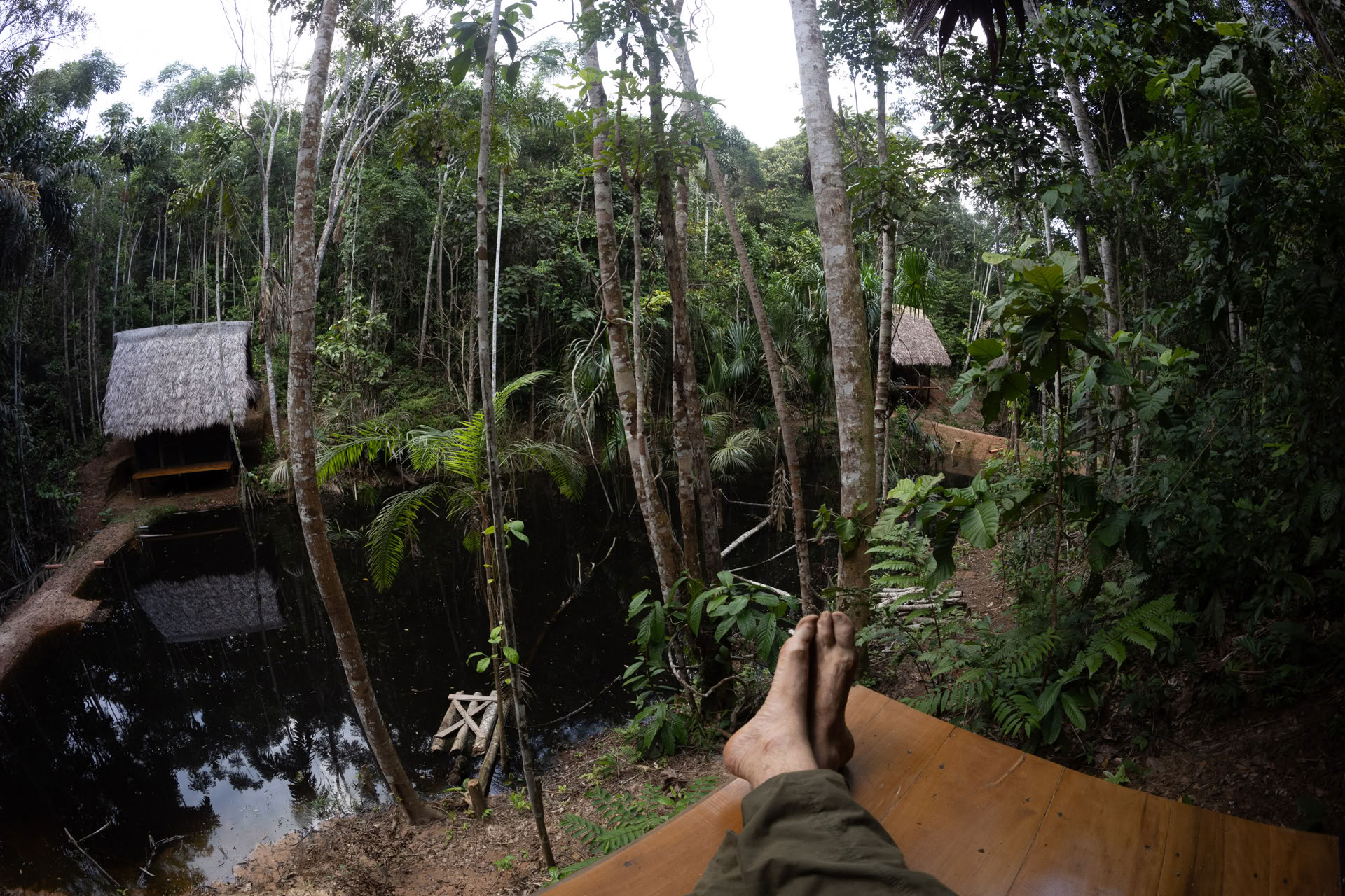 Atviras Ayahuaskos retritas