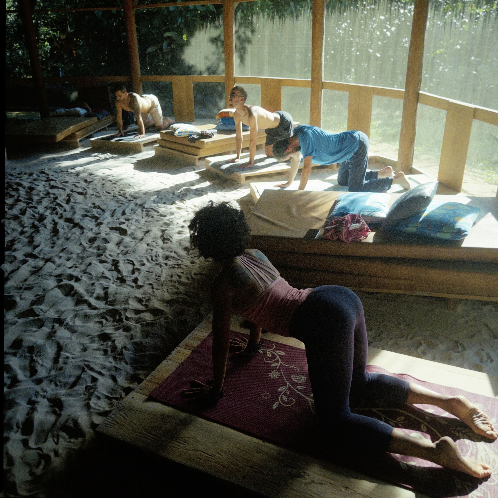 Atviras Ayahuaskos retritas
