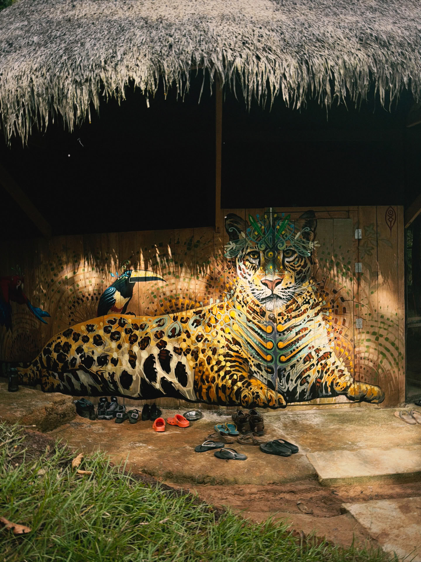 Atviras Ayahuaskos retritas