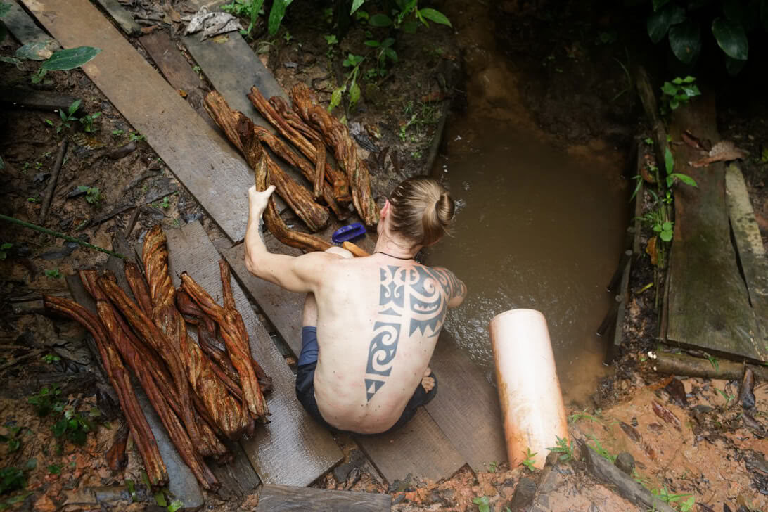 Ayahuasca retritas ir Master Plant dieta Peru