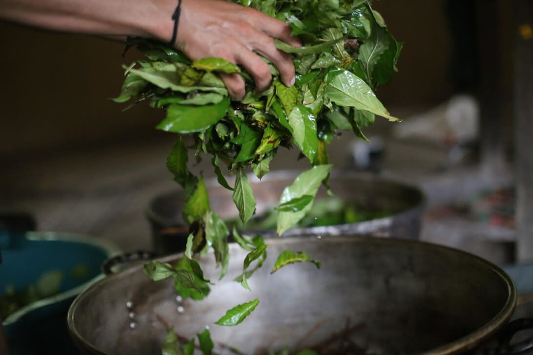 Ayahuasca retritas ir Master Plant dieta Peru