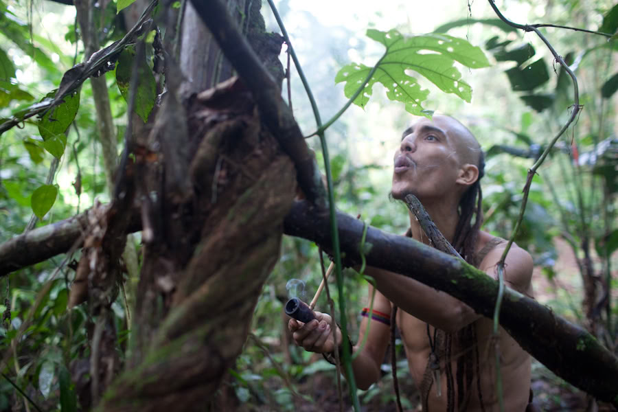Ayahuasca retritas ir Master Plant dieta Peru