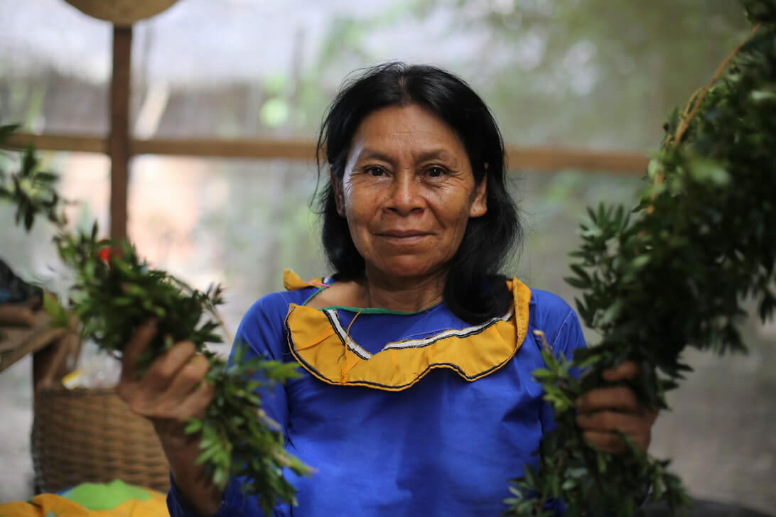 Ayahuasca retritas ir Master Plant dieta Peru